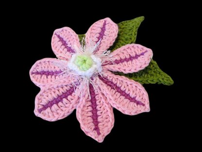 Collection of Clematis crochet