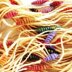 Storey Publishing The Spinner's Book of Yarn Designs
