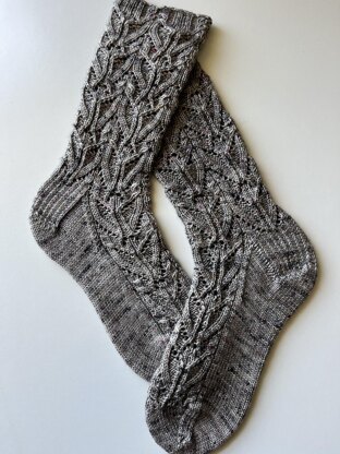 Tillandsia Socks.
