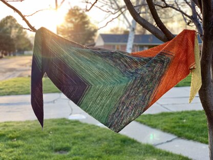 Daydreamer Shawl