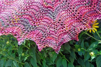 Dana-Marr Shawl