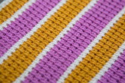 Tunisian Striped Gadget Cosies