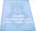 Sweetheart Teddy Bear Baby/Toddler Blanket