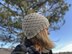 Trellis Stitch Beanie -- a loom knit pattern