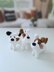 Wire fox terrier