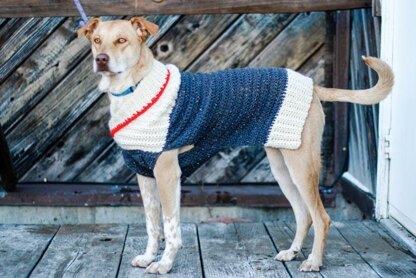 Ready to Roam Dog Sweater