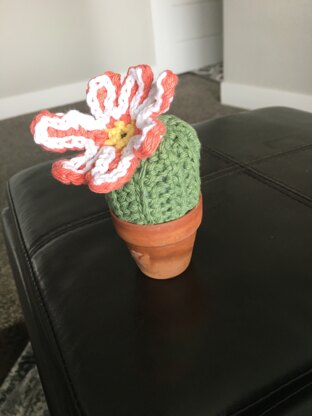 Amigurumi Cactus