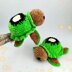 Turtle Custom Kiwi