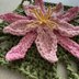 Grewia Flower Granny Square