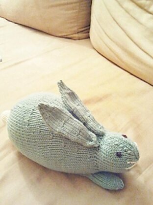 Henry's Rabbit