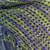 557 Ajuga Shawl - Knitting Pattern for Women in Valley Yarns Franklin Hand-Dyed