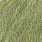 Lichen (17)
