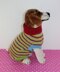 Dog Multi Colour Stripe Sweater Coat