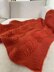 Reversible Cable and Lace Baby Blanket BJ87