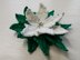 Christmas Poinsettia white flower pattern