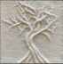 Crooked Tree