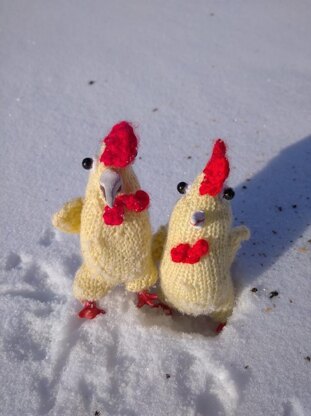 Funny rooster knitting pattern