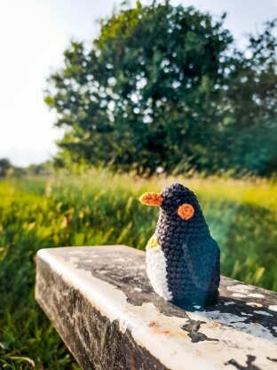 Pascal the King Penguin Christmas Decoration