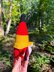 Patriotic gnome of Germany (boy)