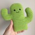Cactus Buddy