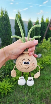 Onion