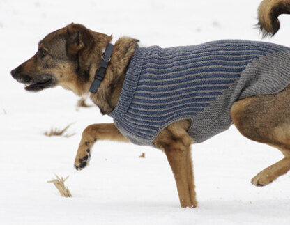 Dog Sweater Loom Knit Pattern Easy Beginner Level Instructions 