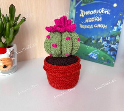 Cactus in a pot