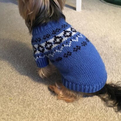 Yoke Dog Sweater