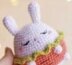 Cut Bunny in an Orange Dress Crochet Pattern