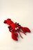 Red Lobster Crochet Pattern, Lobster Amigurumi Pattern