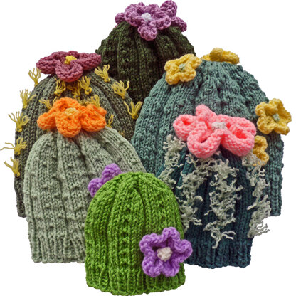 Cactus (Hats) Garden