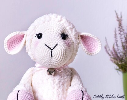 Lolla the Lamb, cute sheep