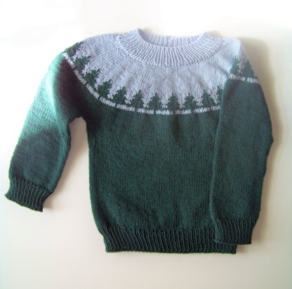 Larches pullover for child