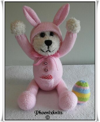 Teddy in a bunny onesie