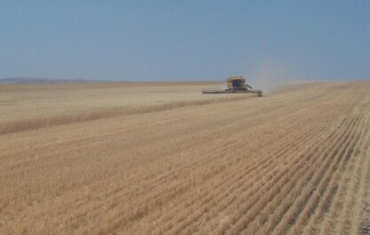 Sixty Bushels Shawlette