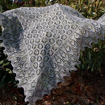 Chrysalis Shawl