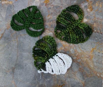 Monstera Leaf Coasters