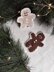 Gingerbread Cookie Man