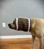 Football Dog Snood