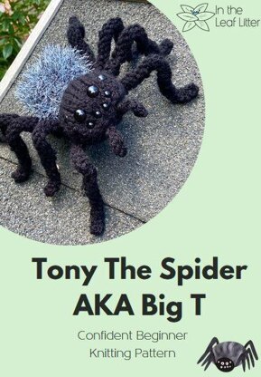 Big T The Spider