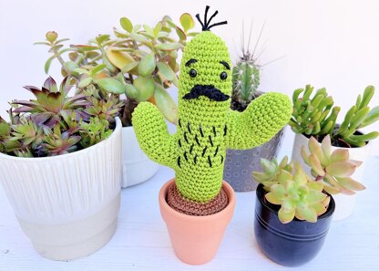 Curtis the Cactus