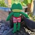 Froggy companion soft toy