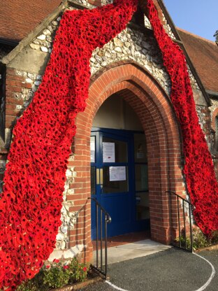Poppies for church display