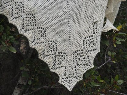 Moonlet Shawl