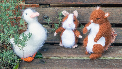 Duckling, Red Squirrel and Guinea Pig