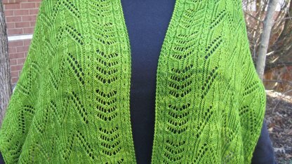 Ton Lace and Mock Cable Shawl