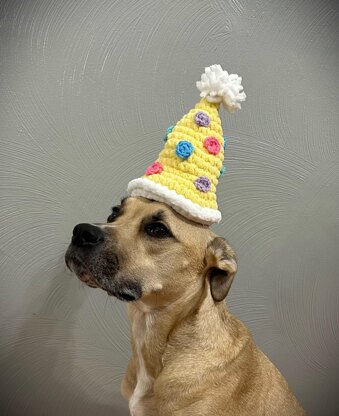 Dog Birthday Hat