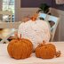Cinderella's Crochet Pumpkin.