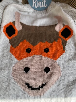 Highland Cow Baby Blanket