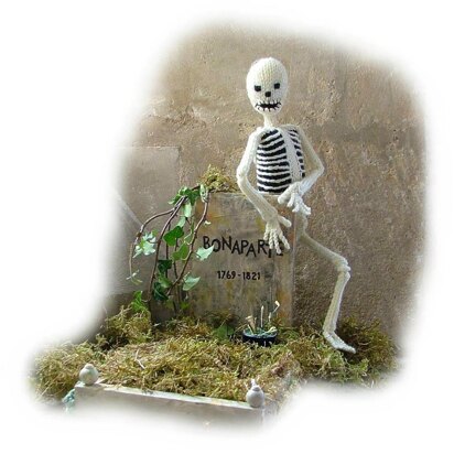 A Bonaparte Skeleton by Georgina Manvell